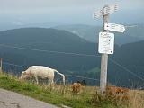 2009-09-18 (23) Belchen